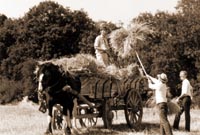 Chiltern Open Air Museum